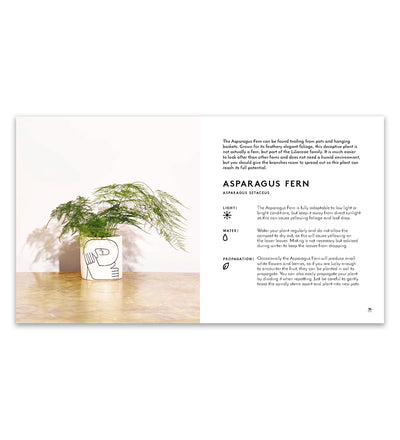 Little Book of House Plants
