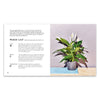 Little Book of House Plants