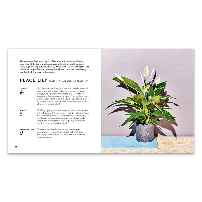 Little Book of House Plants