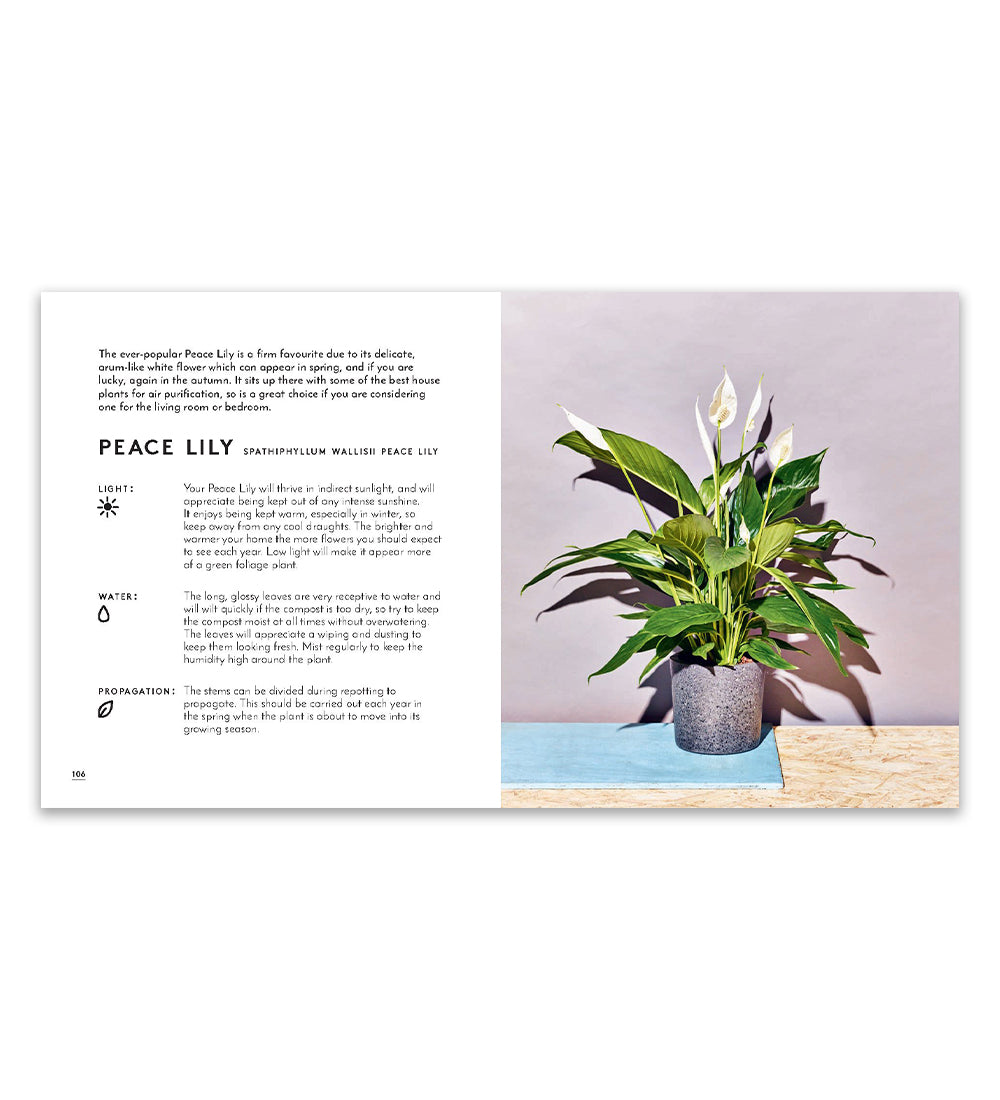 Little Book of House Plants