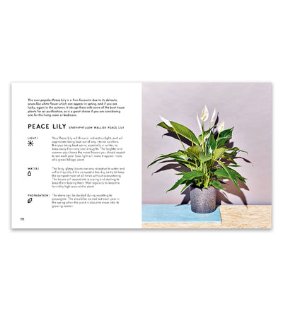 Little Book of House Plants