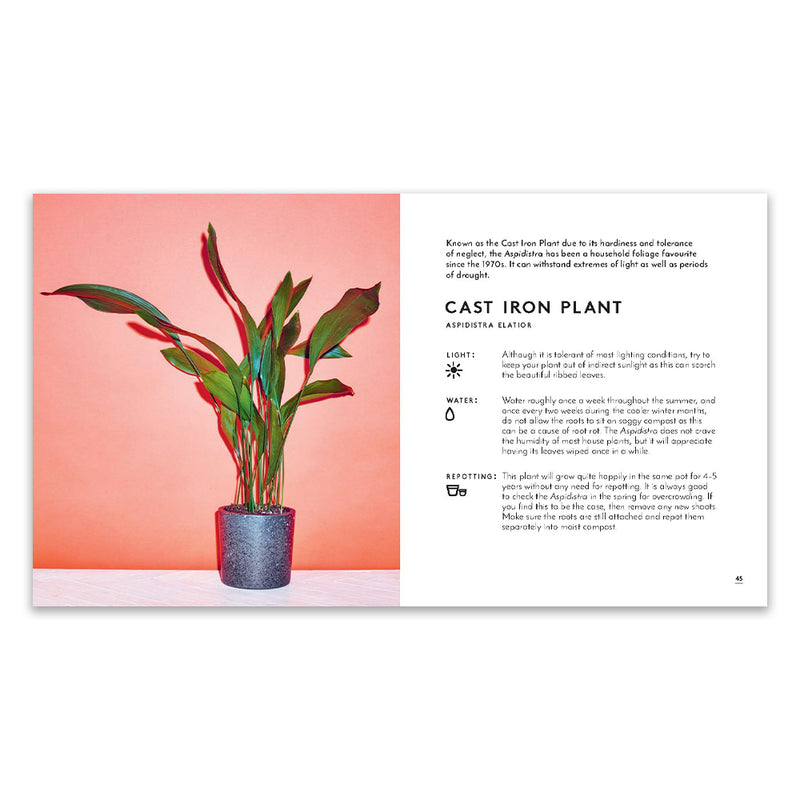 Little Book of House Plants