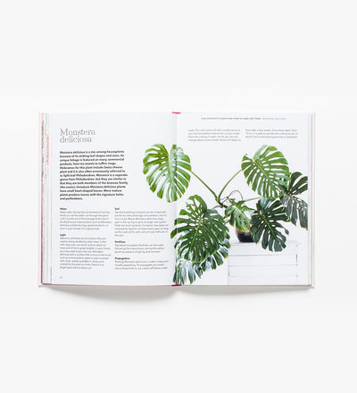 How to Raise a Plant