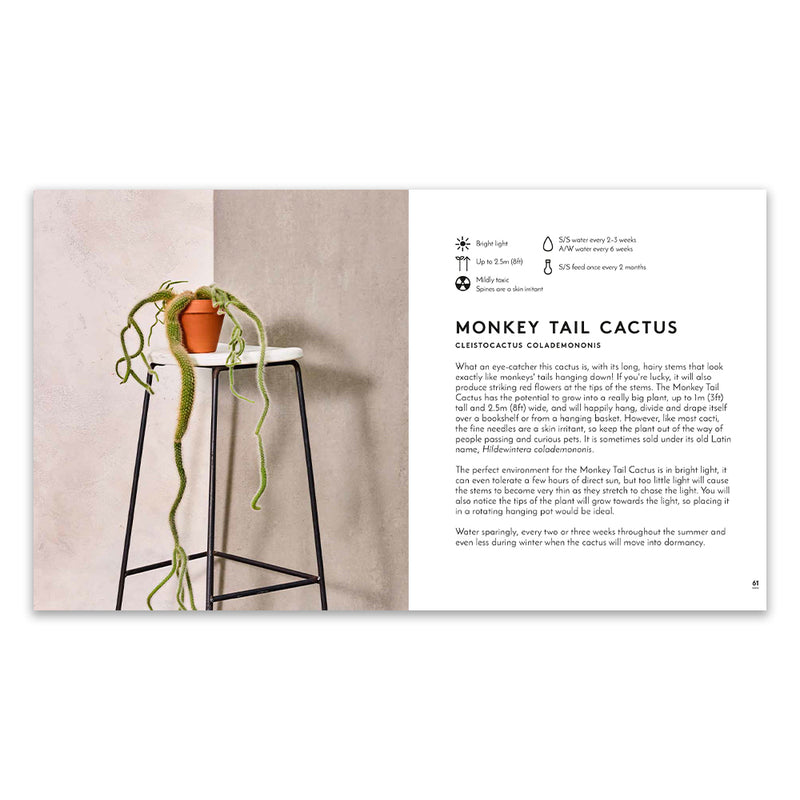 Little Book of Big Plants