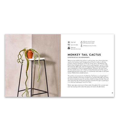 Little Book of Big Plants