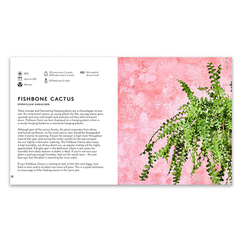 Little Book of Big Plants