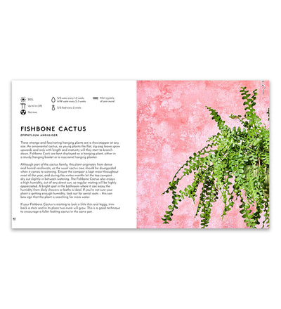 Little Book of Big Plants
