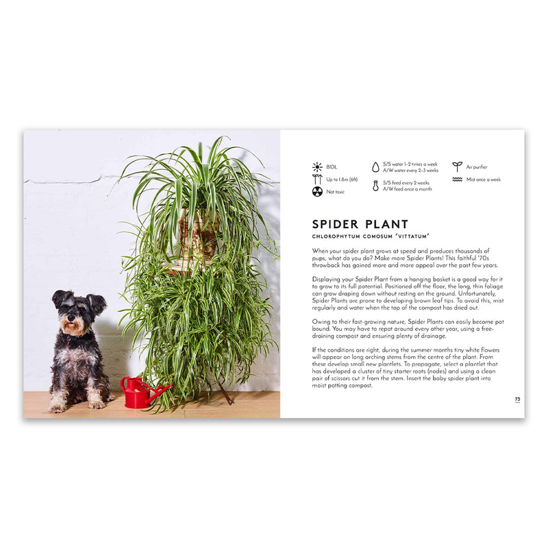 Little Book of Big Plants