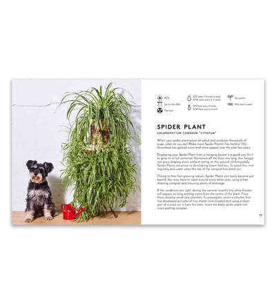 Little Book of Big Plants