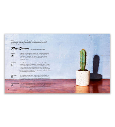 Little Book of Cacti & Succulents