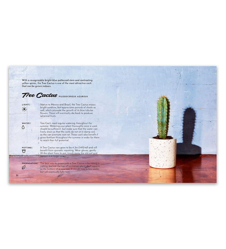 Little Book of Cacti & Succulents