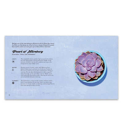 Little Book of Cacti & Succulents