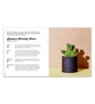 Little Book of Cacti & Succulents
