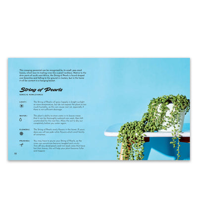 Little Book of Cacti & Succulents