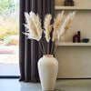 Large Pampas Bunch