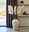 Large Pampas Bunch