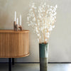 Lunaria Bunch