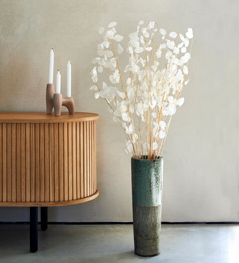 Lunaria Bunch