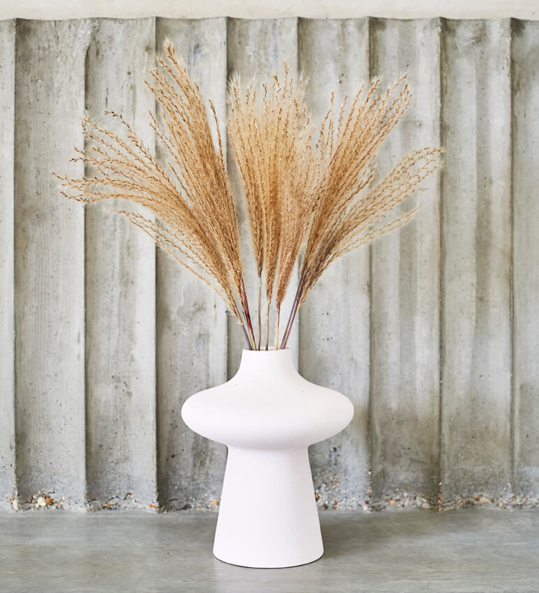 Miscanthus Grass Bunch