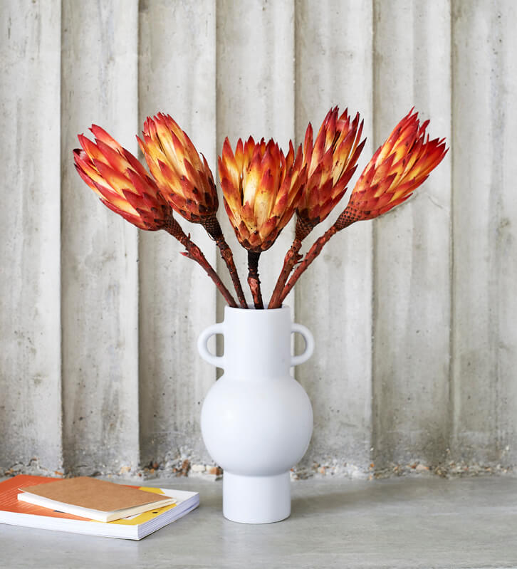 Protea Bunch