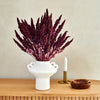 Amaranthus Bunch