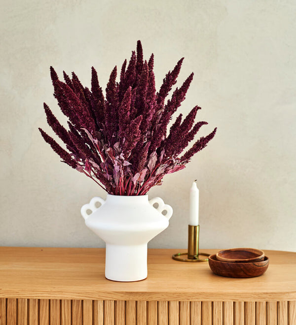 Amaranthus Bunch