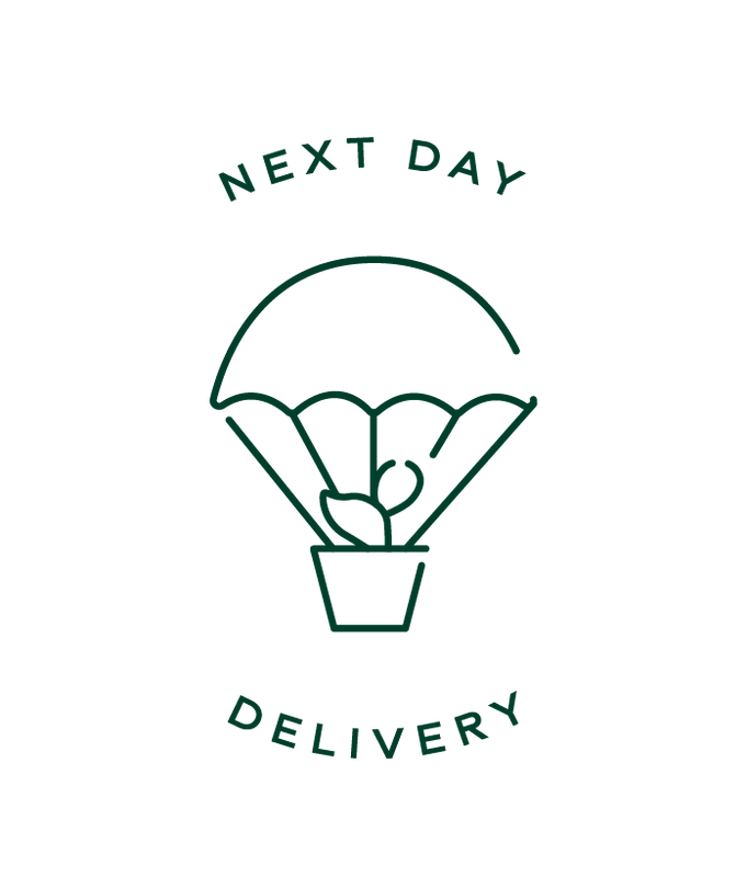 Delivery Add-on: Next or Named Day