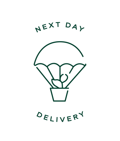 Delivery Add-on: Next or Named Day