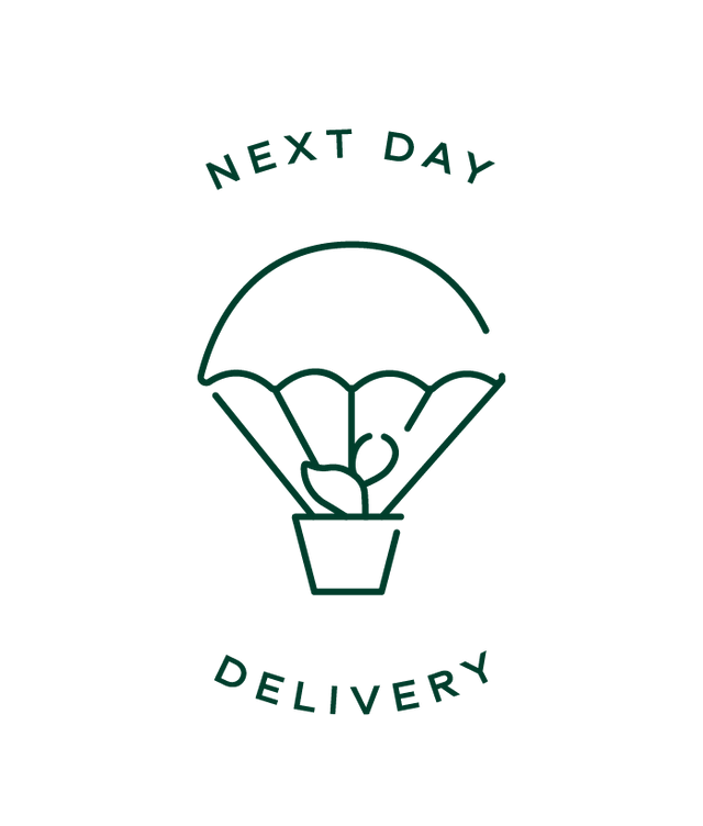 Delivery Add-on: Next or Named Day