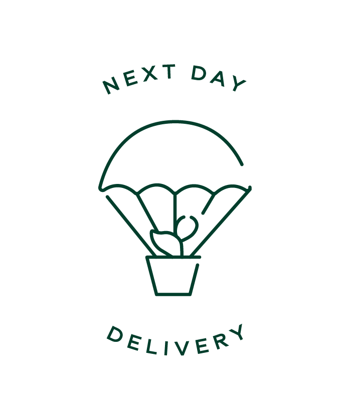 Delivery Add-on: Next or Named Day