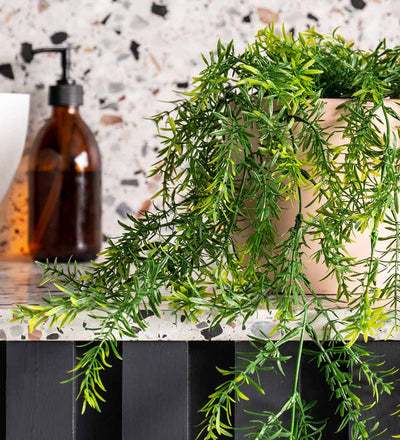 Artificial Asparagus Hanging