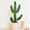Cowboy Cactus Large