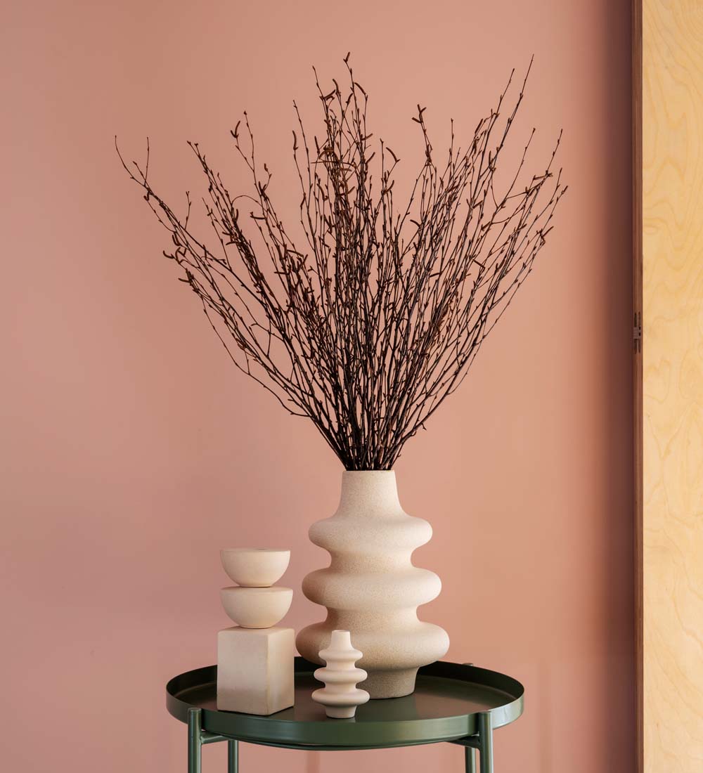 Dried Birch Stems