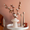 Dried Cotton Branches