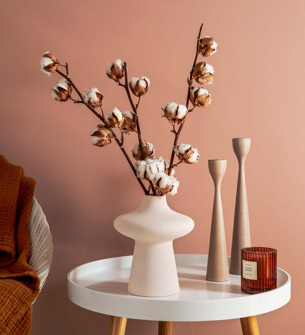 Dried Cotton Branches