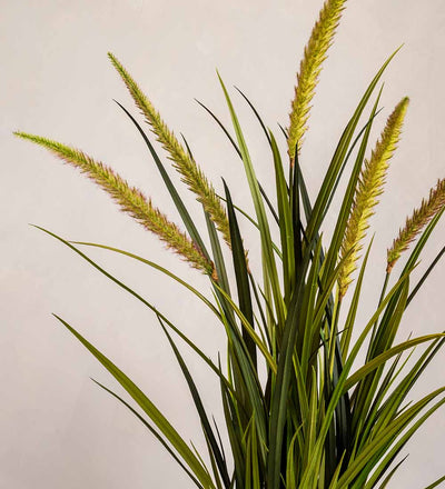 Artificial Foxtail Grass