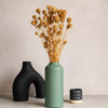 Dried Scabiosa Bunch