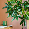 Artificial Pachira (Twisted Stem)