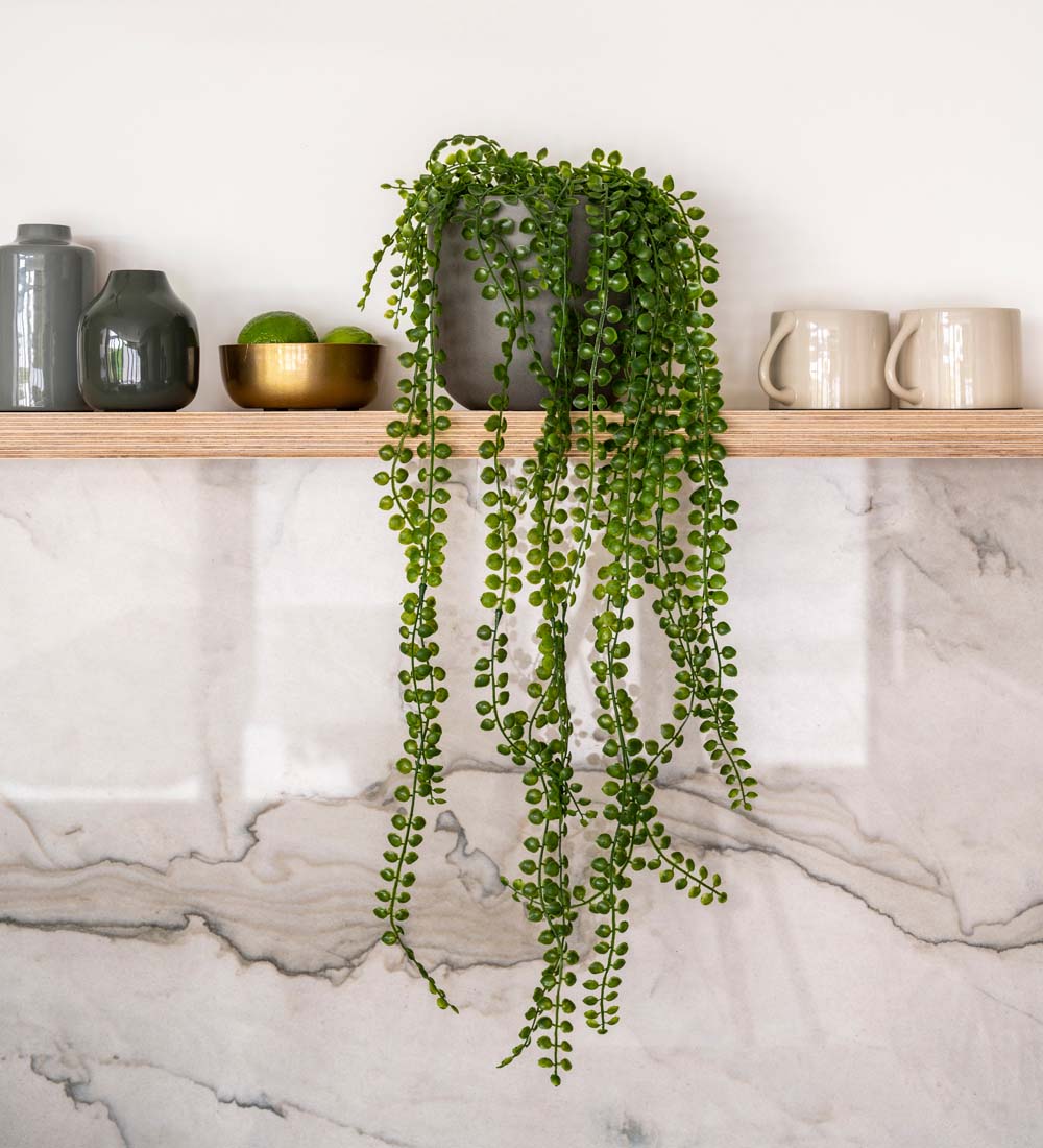 Artificial Ficus Pumila Hanging