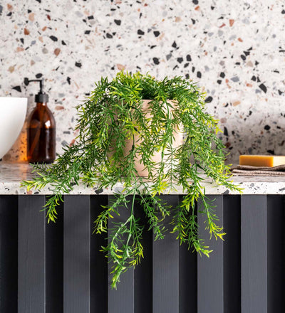 Artificial Asparagus Hanging