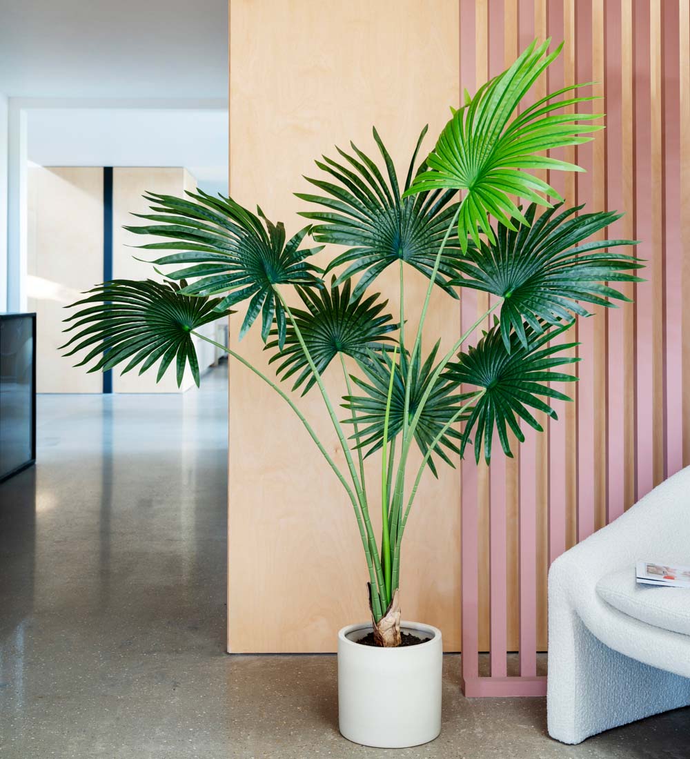 Artificial Livistona Palm