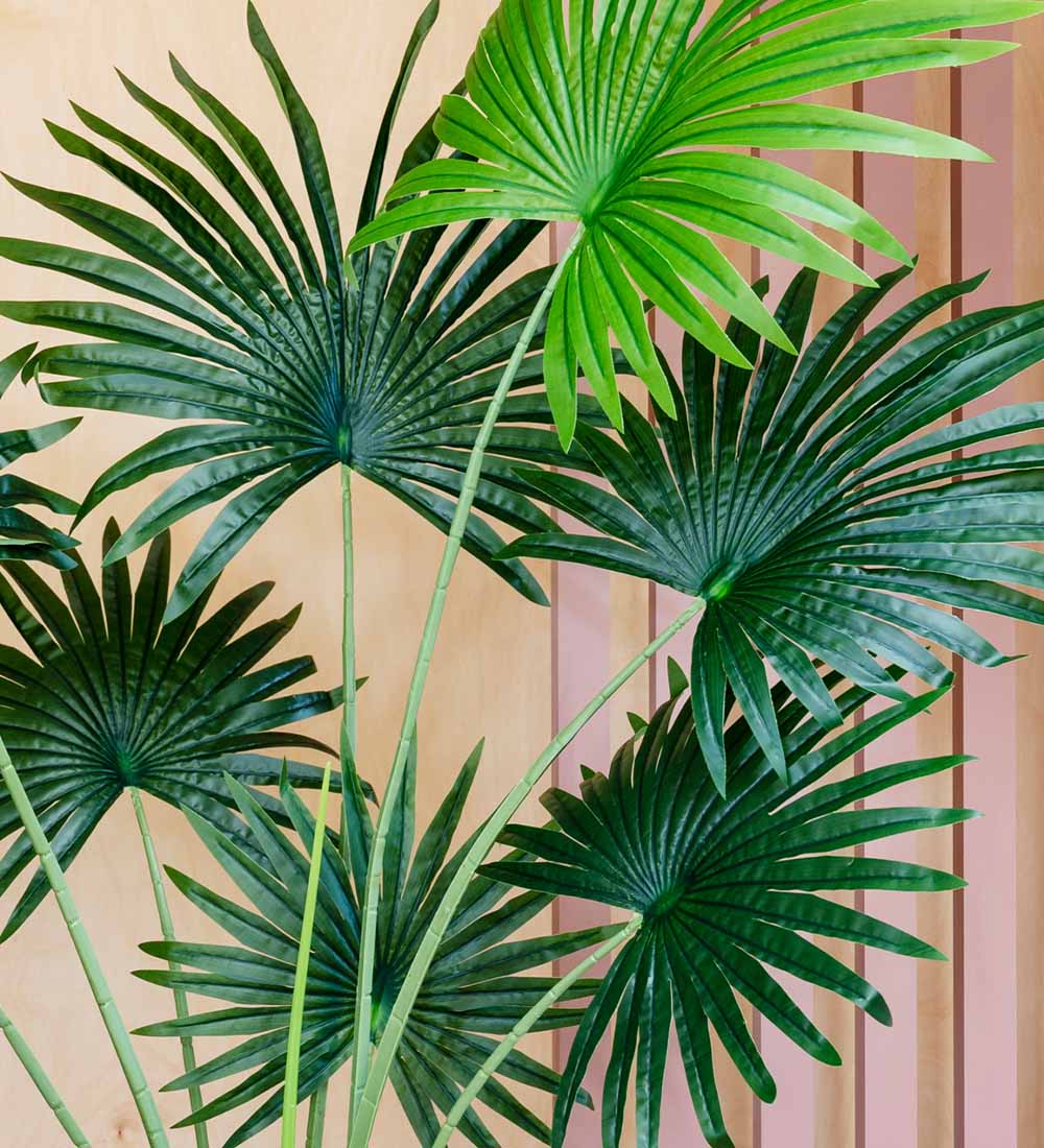 Artificial Livistona Palm
