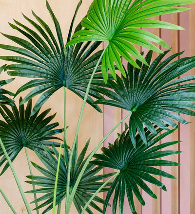 Artificial Livistona Palm