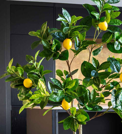 Artificial Lemon Tree