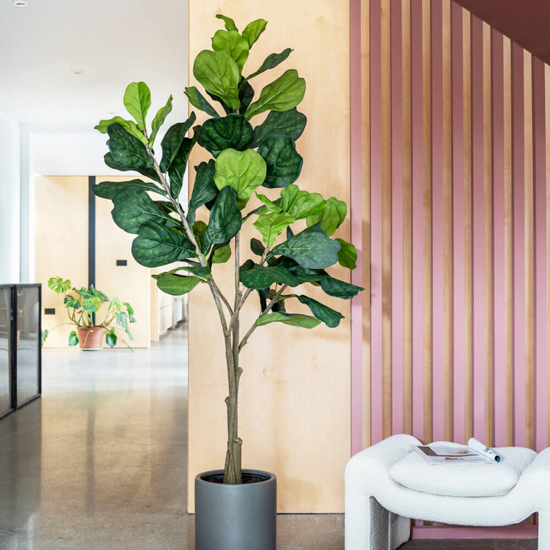 Artificial Fiddle-leaf Fig Tree