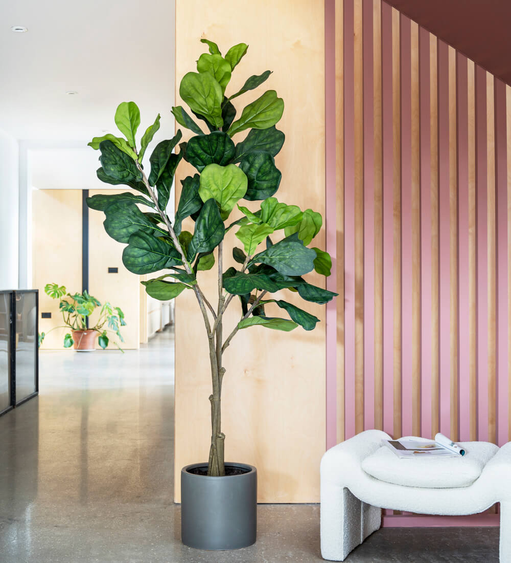 8 Foot Faux Fiddle Leaf Fig Tree Artificial Ficus Lyrata | Blooming
