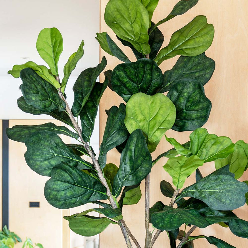 Artificial Fiddle-leaf Fig Tree