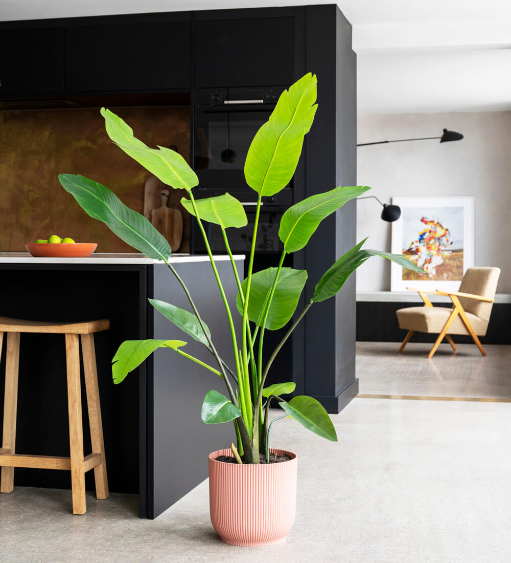 Artificial Bird of Paradise