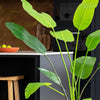 Artificial Bird of Paradise