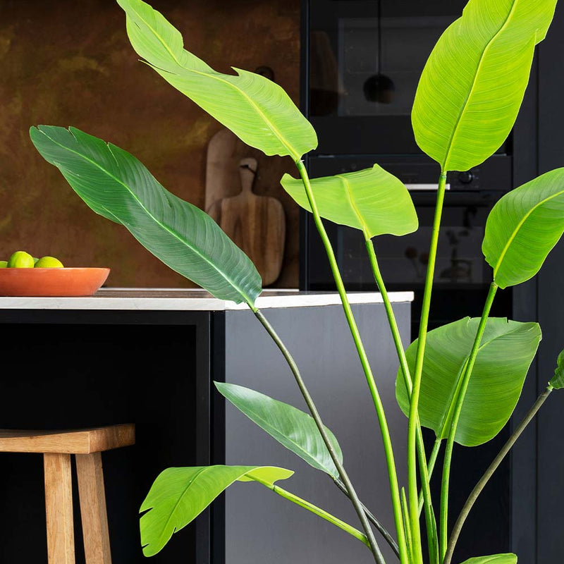 Artificial Bird of Paradise